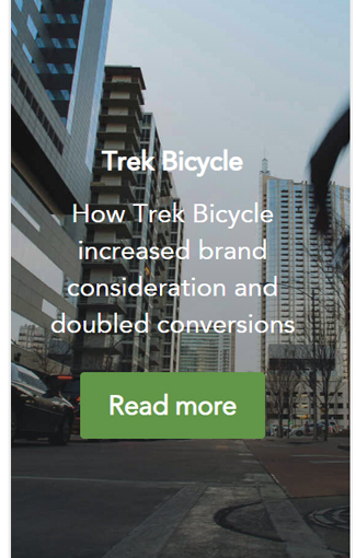 trek bicycle case study digital advice
