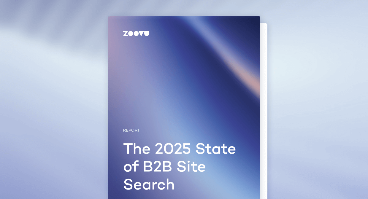 Site Search Report 2025
