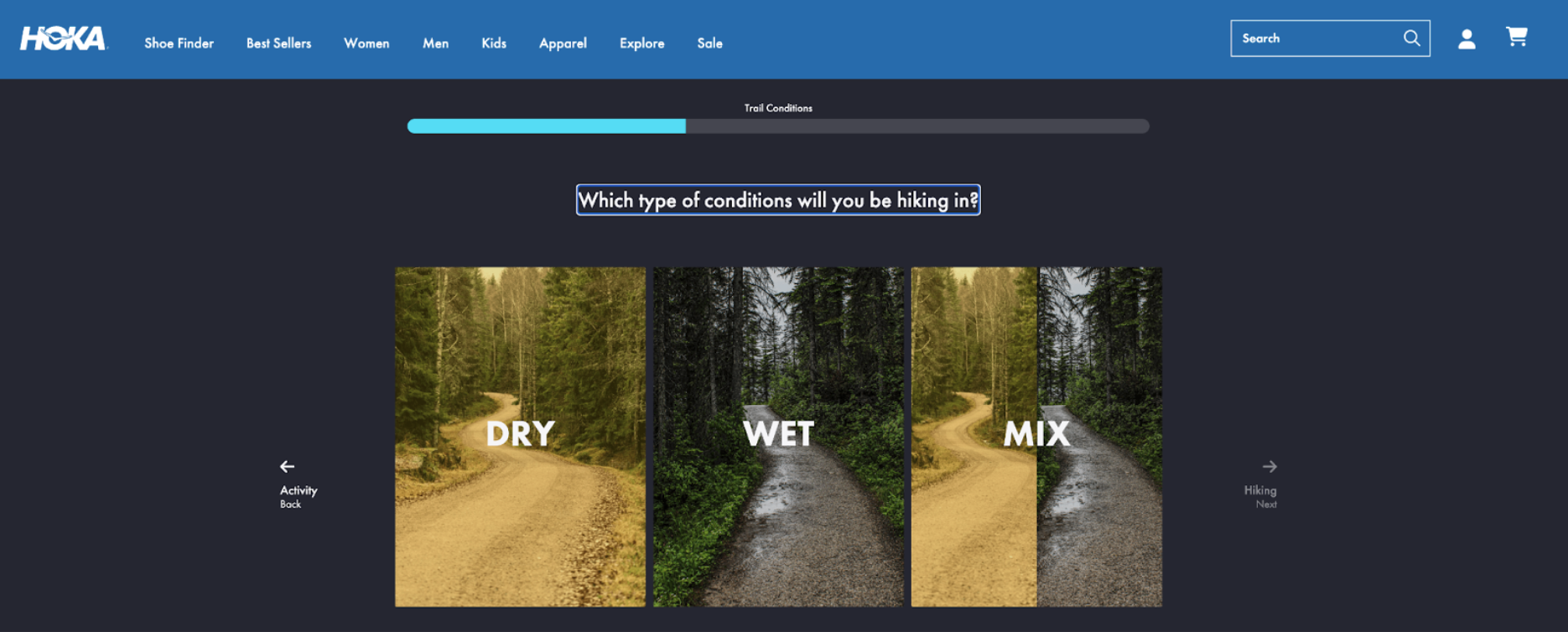 Hoka search example